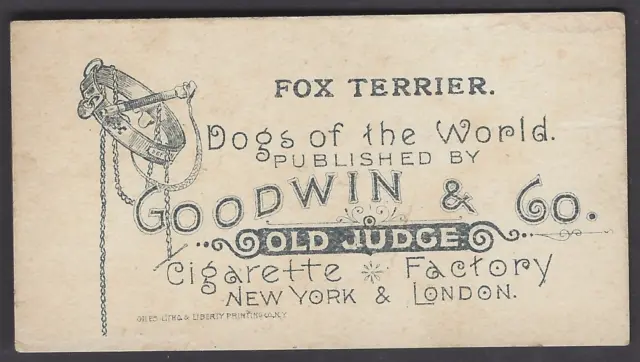 Goodwin - Dogs Of The World - Fox Terrier 2
