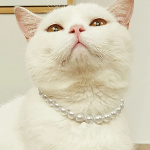 Dog Collar Pet Collars Dog Cat Decoration Pearl Necklace Pet Ornament Pendant
