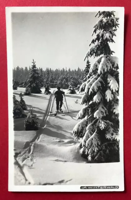 Walter Hahn Foto AK Nr. 6...? um 1929 Erzgebirge Im Winterwald mit Ski ( 89311