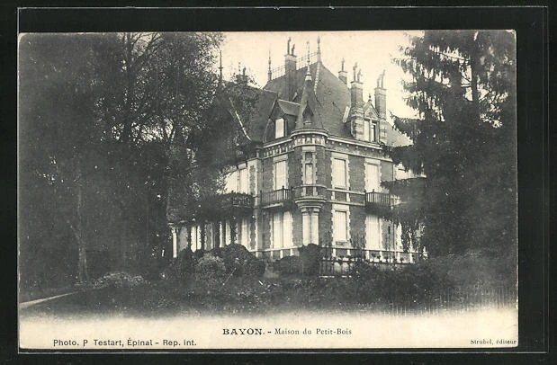 CPA Bayon, Maison du Petit-Bois