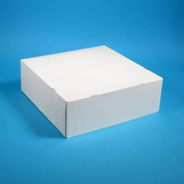 100 Tortenkartons Cakebox Kuchenkarton Tortenschachtel weiß 1-teilig 22x22x10cm