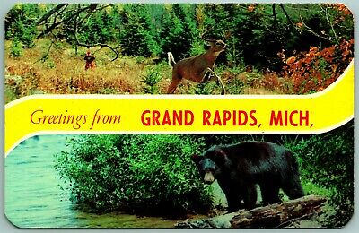 Dual View Banner Greetings From Grand Rapids Michigan MI UNP Chrome Postcard F14