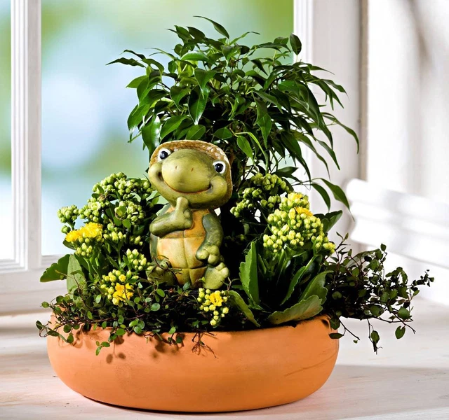 Pflanzen- Blumenschale m. Schildkröte,für Garten, Balkon,Terrasse Terrakotta*NEU