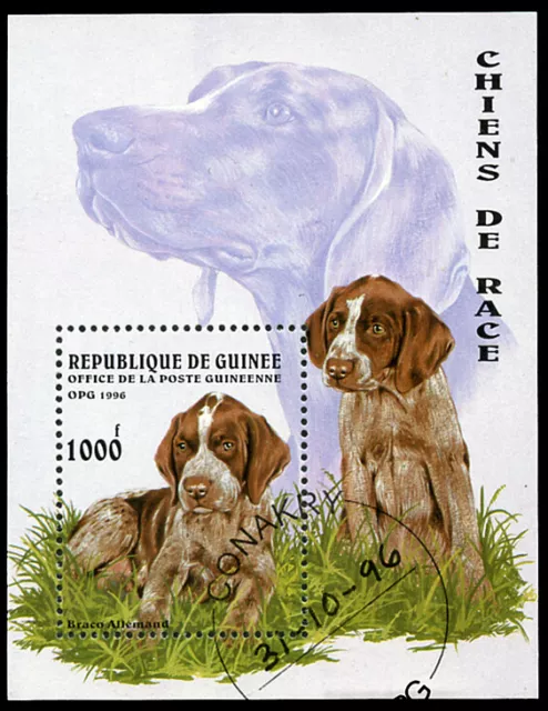 GERMAN SHORTHAIRED POINTER GSP Dog Postage Stamp Mini Sheet Guinea Rep 1996 Used