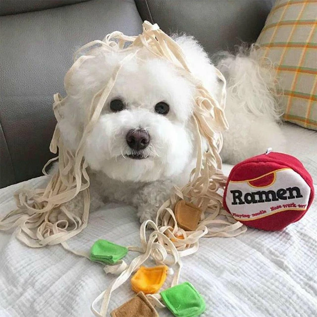 Giocattolo taba per cani ramen tratta giocattolo palla per cibo per animali domestici alimentazione rallentata H M1Y1