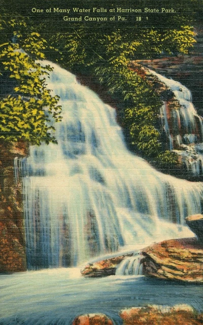 Vintage Linen Postcard Waterfall at Harrison State Park Grand Canyon of PA