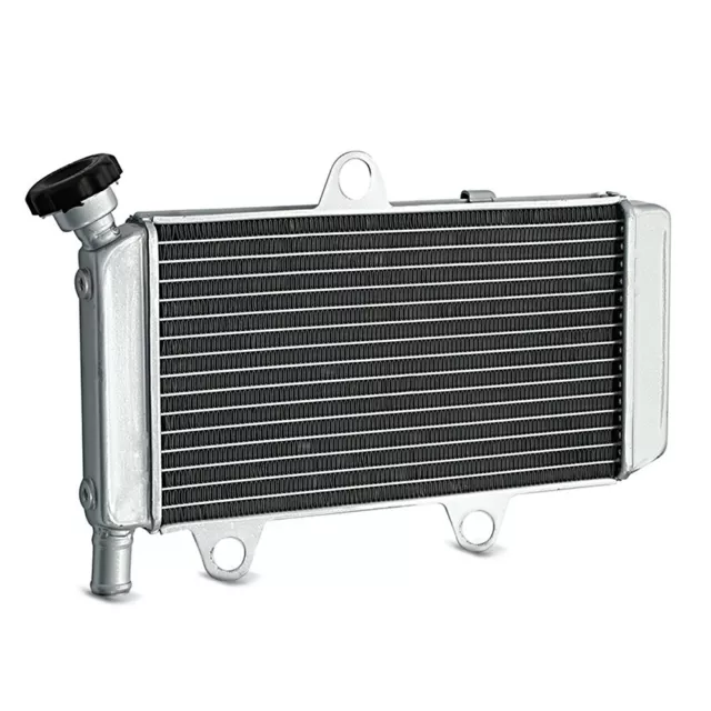 Ölkühler für Yamaha XT 660 R X 04-14 Radiator Kühler Zaddox 3