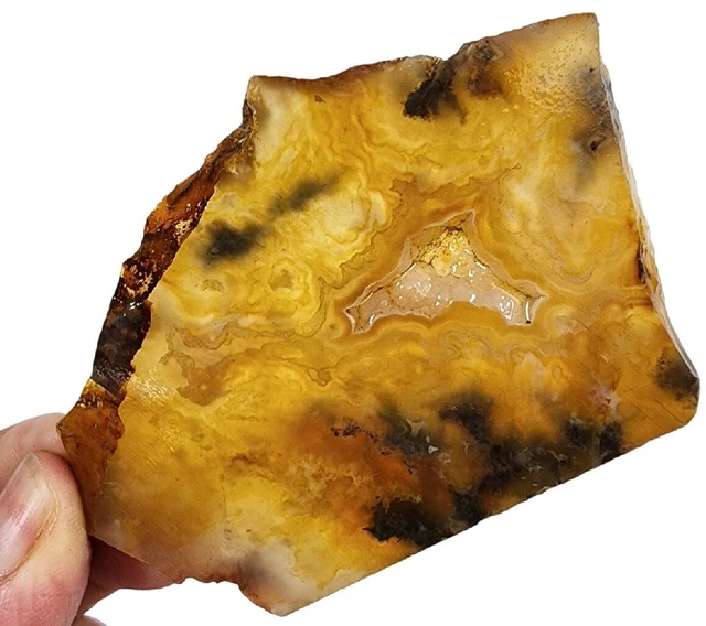 Agate Graveyard Natural Slab Oregon 36.7 grams Lapidary