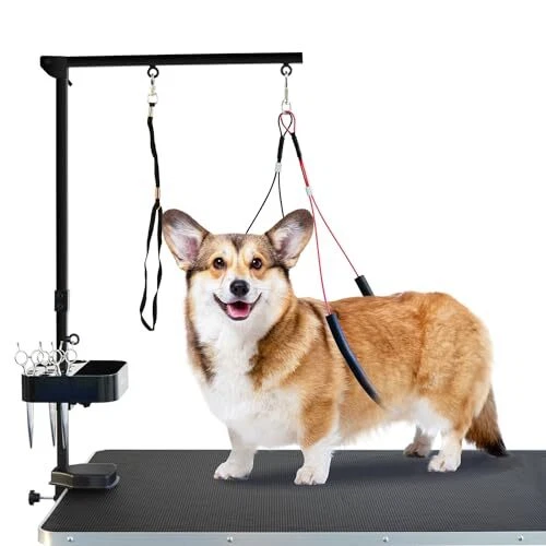 Shelandy Pet Grooming Arm With Clamp For Large And Small Dogs - 35 Inch Height A