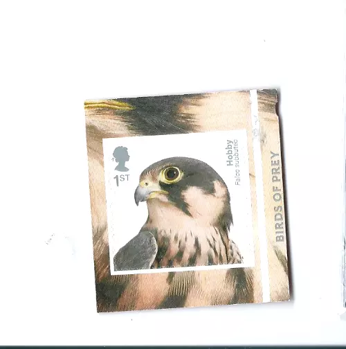 GB 2019 sg4210 Birds Of Prey  Self Adhesive Booklet Stamps MNH