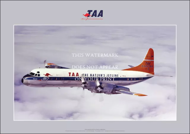 TAA Lockheed L.188 Electra A3 Art Print – TAA logo Aerial – 42 x 29 cm Poster