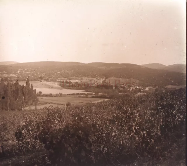 FRANCE Paysage Champs c1930 Photo Plaque verre Vintage V24L14n8