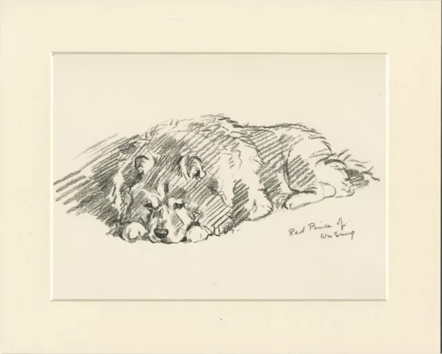 CHOW CHOW NAMED DOG OLD 1937 MOUNTED DOG ART PRINT by LUCY DAWSON AKA MAC