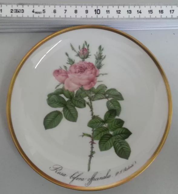 Teller Hutschenreuther Sammelteller P.J. Redoute Zierporzellan Rosa #3