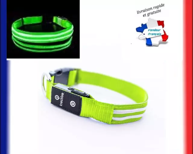 Collier Lumineux LED Pour Chien Rechargeable USB Étanche Réglable modes nuit