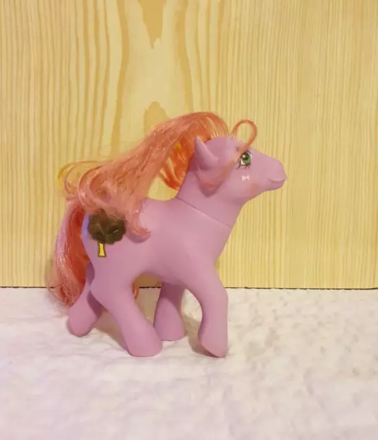 My Little Pony Magic Message Windy G1