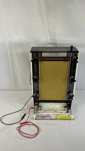 Fisher Biotech Electrophoresis System Dna Sequencing System Fb-Seq-2045