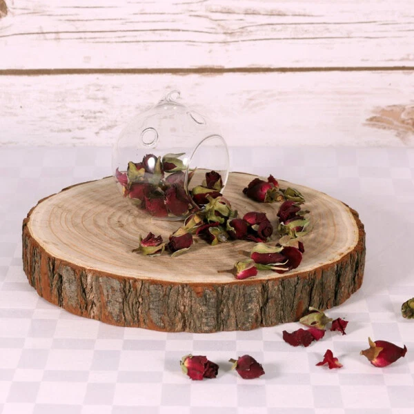 Large Wood Slices 40 - 47cm Log Slice Tree Wooden Wedding Event Kiln Dried