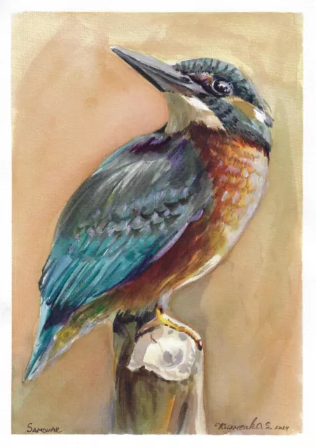 original painting A4 31KzS artwork watercolor modern bird kingfisher signed'24