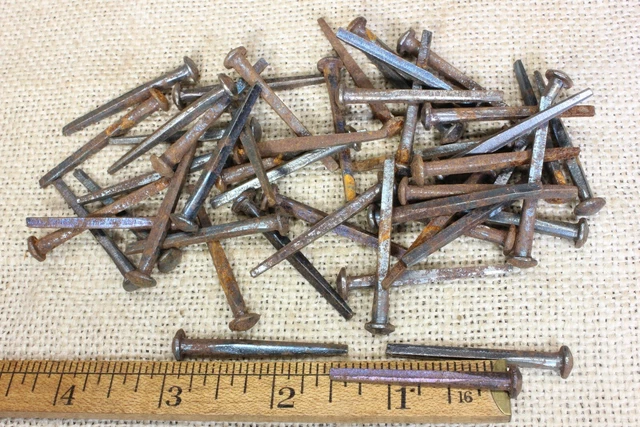 1 1/2” OLD Button rose Square NAILS round Domed head 50 in lot rustic vintage