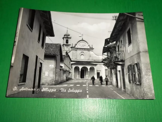 Cartolina S. Antonino di Saluggia ( Vercelli ) - Via Saluggia 1955 ca.