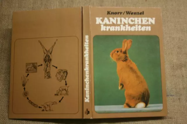 Fachbuch Kaninchenkrankheiten Kaninchenzucht Hasen Hygiene Züchter DDR 1983