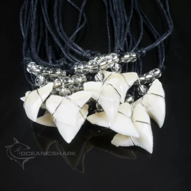 Genuine bull shark tooth necklace gift present by  Oceanicshark Australia C61 3