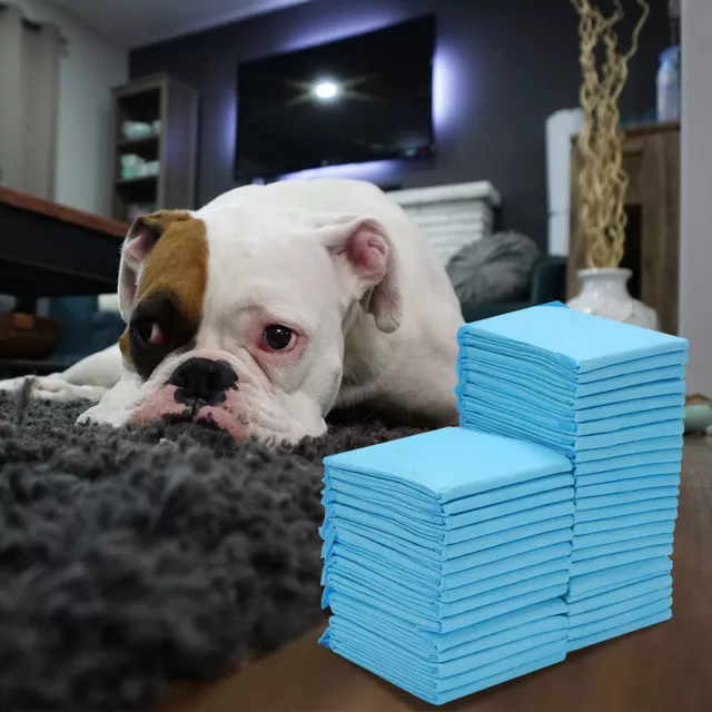 Documentos para cachorros entrenamiento mascota alfombra de protección del suelo almohadillas para cachorros 60x45 cm/60x60 cm