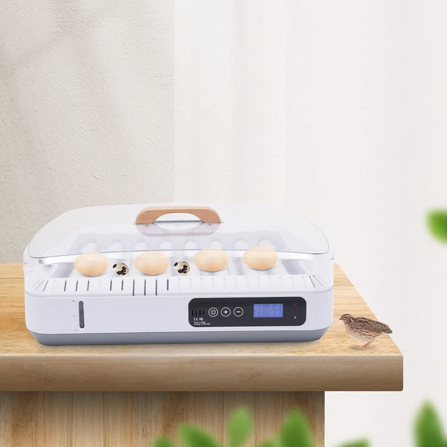 35 Eggs Incubator Device Hatcher Hatching Machine for Chicken Automatic UK