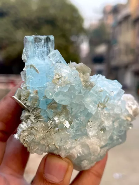 Natural Blue Aquamarine Crystal Bunch With Muscovite Combine Specimen