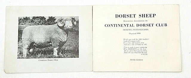 Husbandry Dorset Sheep Homestead Farm Animals Club Hickory Penn 10th ed J.R. Vtg