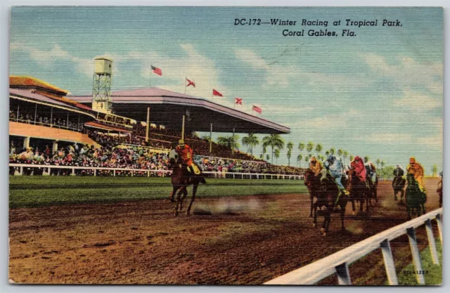 Postcard Winter Racing at Tropical Park, Coral Gables, Florida linen 1952 N121