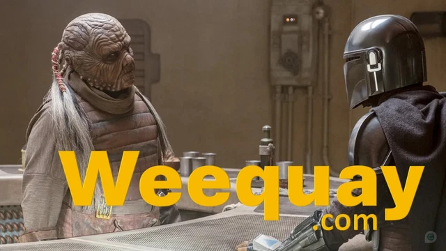 Weequay.com - Star Wars - PREMIUM DOMAIN - GoDaddy Appraisal: $1223
