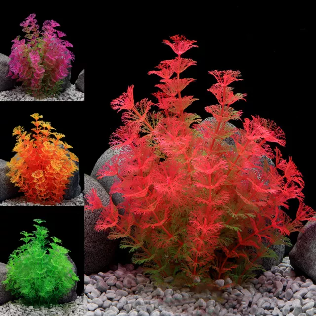 Aquatics Plants Underwater Tasteless Decorative Scenery Plants Natural Shape