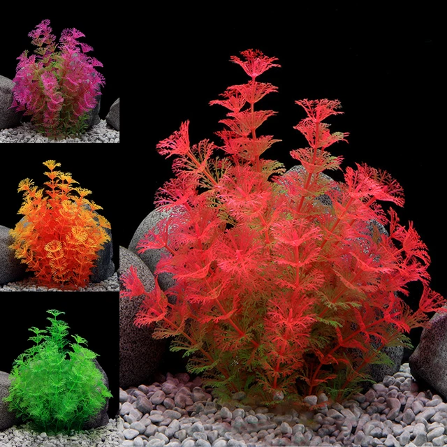 Aquatics Plants Underwater Tasteless Decorative Scenery Plants Natural Shape