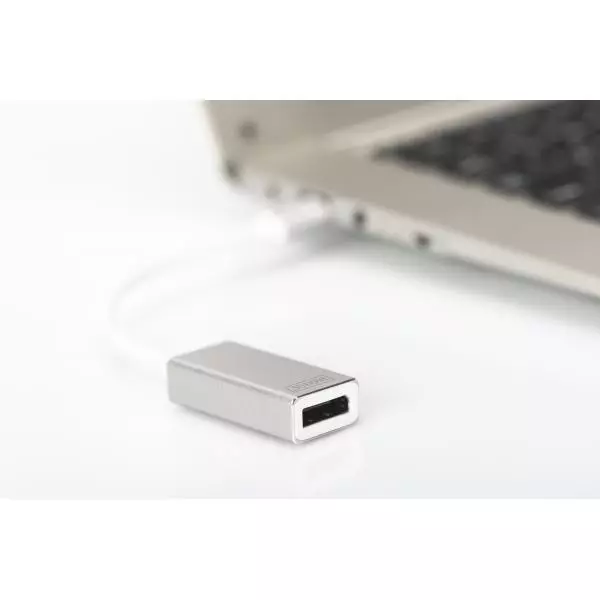 Digitus Adattatore grafico DisplayPort USB Type-Câ„¢ 4K 2