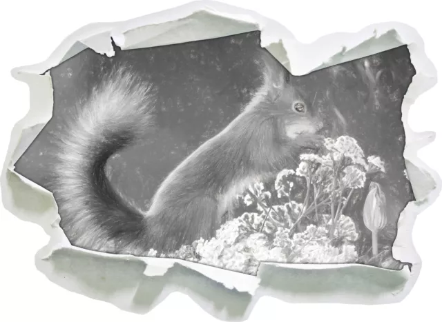 Nagendes Squirrel En Moos Arte Carbón Efecto - 3D-Look Papel Pegatina Pared