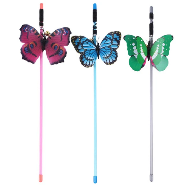 3 PCS Chat Teaser Chaton Jouets Pour Chatons Animaux De Compagnie