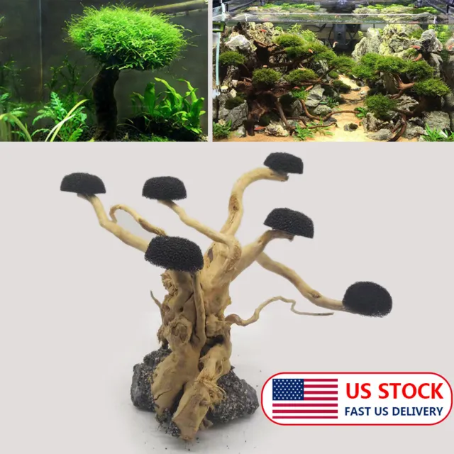 Multi-size Fish Tank Driftwood Tree Root Aquarium Plant Landscape Ornament Decor