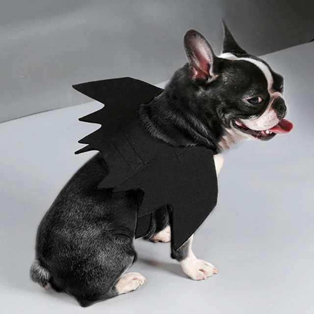 Accessorio Per Costumi Di Halloween Divertenti Da Gatto Lotta Francese Cosplay