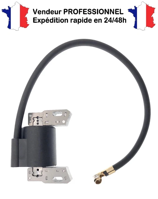Bobine d'allumage pour moteur BRIGGS & STRATTON 591420 - 792395 - 496914 - 79328