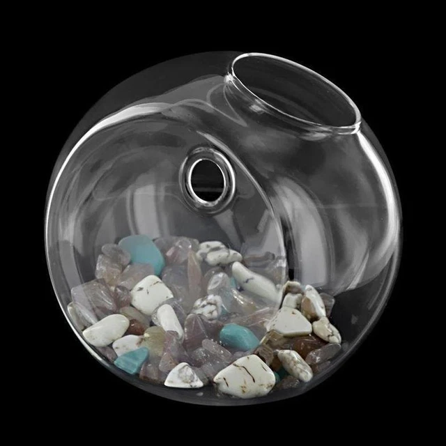 Wall Mounted Fish Tank Bowl Bubble Aquarium Hanging Goldfish Bet hot. U1P7