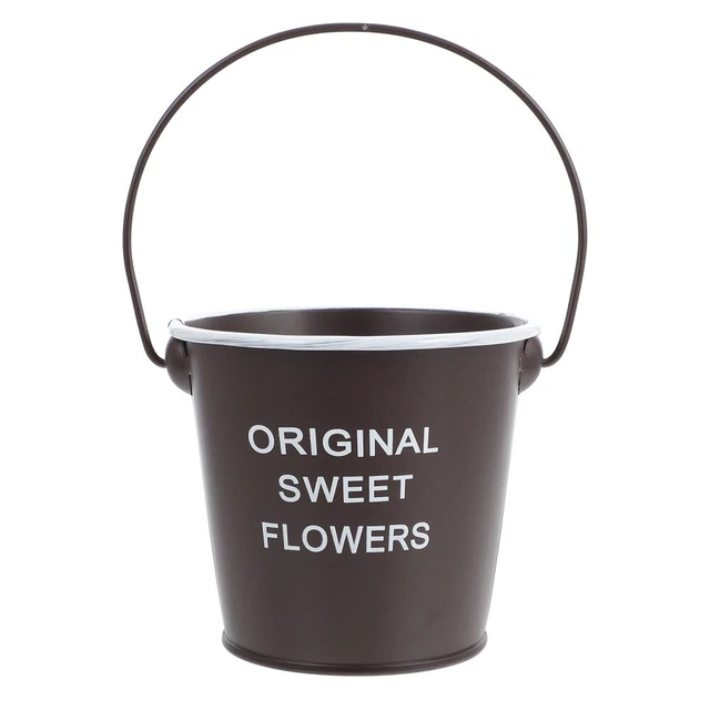 Pail Rustic Flower Bucket Vintage Flower Vase Chlorophytum