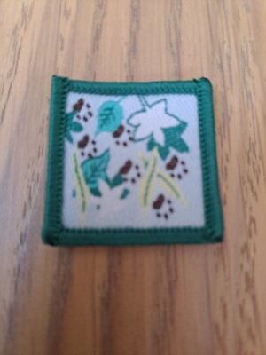 OLD SYSTEM AUSTRALIAN Cub Scout Merit Badge - Level 1 Nature $7.00 ...