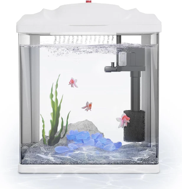 Glass Betta Fish Tank Set up Self Cleaning 2 Gallon Small Nano Aquarium Starter