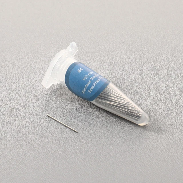 100 pz perni per insetti campione ago scuola acciaio inox laboratorio - entomologia - ago ZF