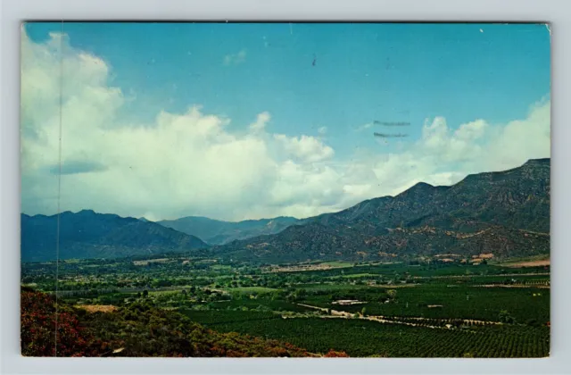 Ojai Valley CA-California, Aerial View, Vintage Postcard