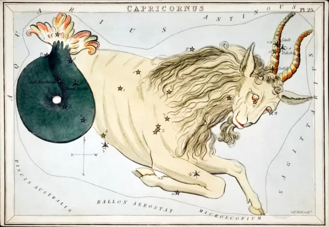 11294.Decor Poster.Home room Wall art.Astrology Zodiac sign.Horoscope.Capricorn