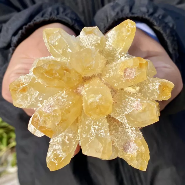 341G New Find Yellow Phantom Quartz Crystal Cluster Mineral Specimen Healing