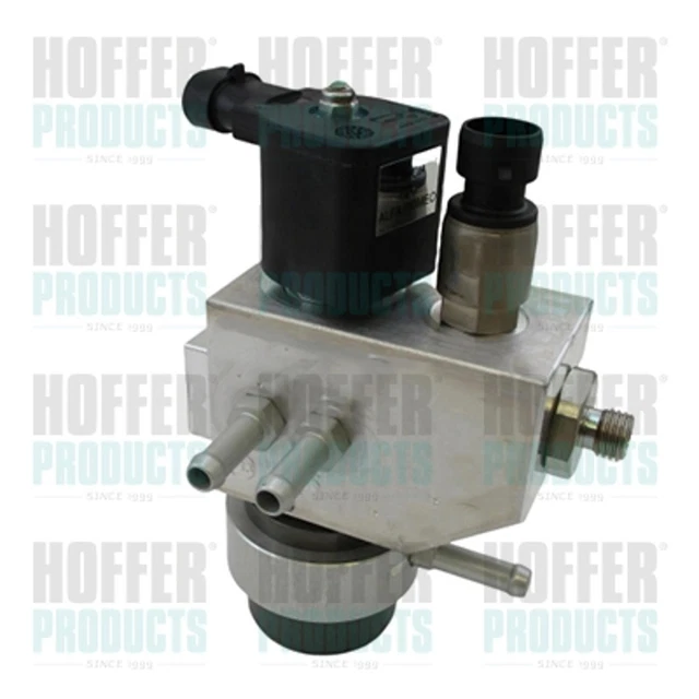 Impianto di iniezione valvola HOFFER H13123 per FIAT PANDA VAN Natural Power 312CXG1A